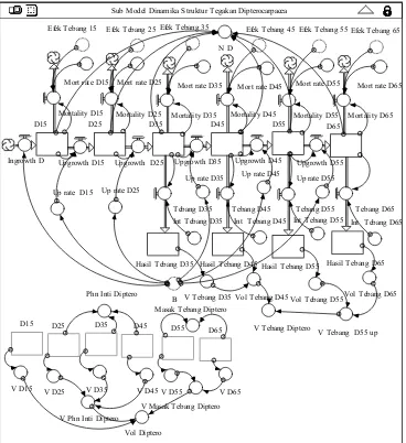 Gambar 1. Model konseptual dinamika struktur tegakan Dipterocarpaceae 