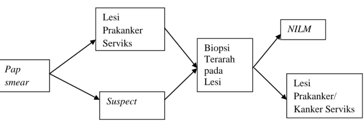 Gambar 2. Kerangka Konsep 