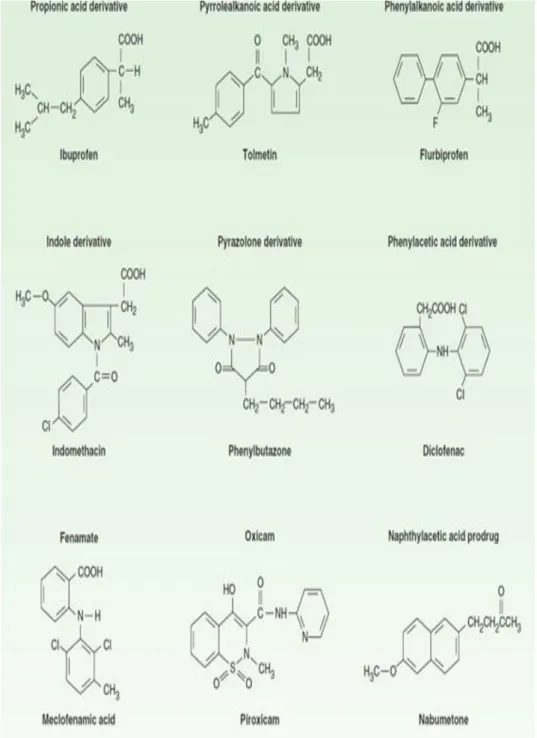 Gambar 1. Struktur kimia dari beberapa OAINS 4