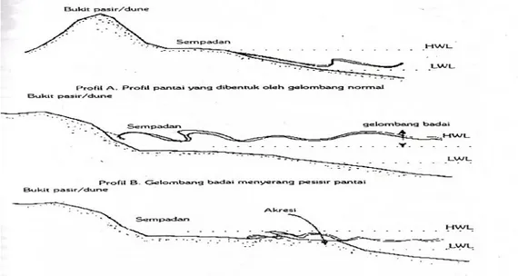 Gambar 2.4 Proses Erosi Pantai (Teknik Pantai, Triatmodjo, 1999)