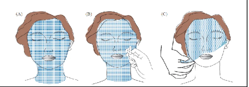 Gambar 9. Cara Menggunakan Masker Gel Peel off  (Shai et al., 2009). 