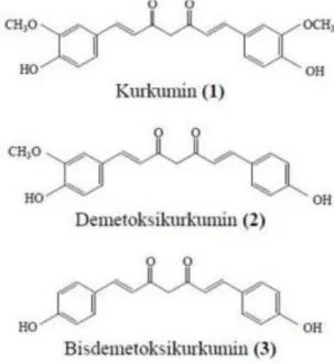 Gambar 2. Struktur kurkuminoid rimpang temulawak  2.  Tabir Surya (sunscreen) 