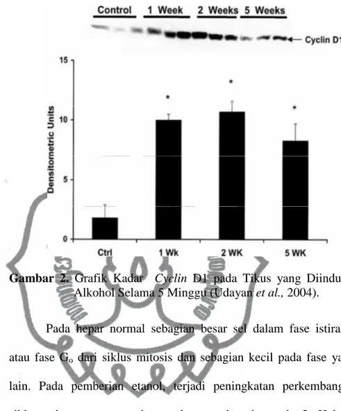 Gambar  2.  Grafik  Kadar    Cyclin  D1  pada  Tikus  yang  Diinduksi  Alkohol Selama 5 Minggu (Udayan et al., 2004)