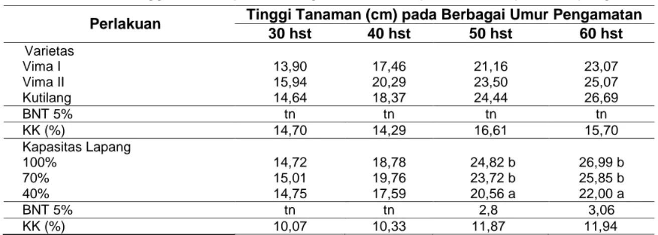 Tabel 1. Rata-rata tinggi tanaman pada berbagai varietas dan persentase kapasitas lapang  