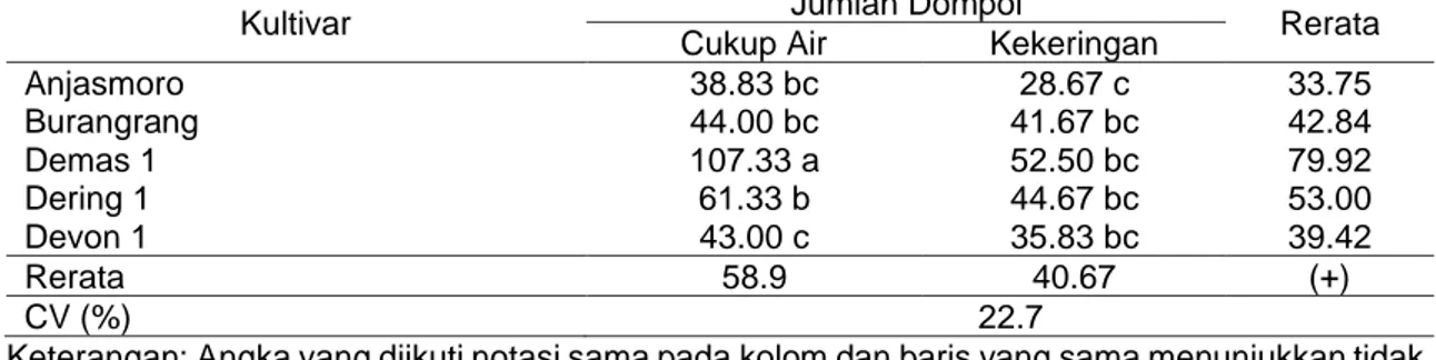 Tabel 1. Jumlah dompol lima kultivar kedelai pada kondisi cukup air dan pada kondisi kekeringan 