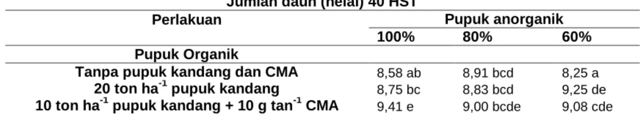Tabel  1  Interaksi  Pupuk  Kandang  dan  Cendawan  Mikoriza  arbuskular (CMA)  dengan  Pupuk  Anorganik pada Jumlah Daun Umur 40 HST 