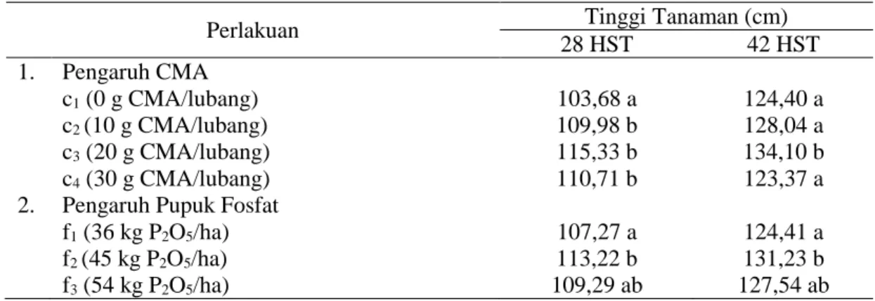 Tabel 1. Pengaruh Cedawan Mikoriza Arbiskular (CMA) dan Pupuk Fosfat terhadap Tinggi  Tanaman Umur 28 dan 42 Hari Setelah Tanam (HST) 