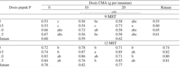 Tabel 4.  Pengaruh interaksi pemberian inokulan CMA dan pemupukan P terhadap diameter tunas  