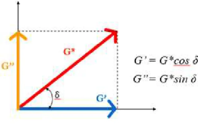 Gambar 2. Hubungan antara G* dan δ dengan  komponen G’ (storage modulus) dan G” (loss 