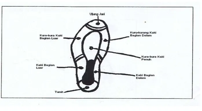 Gambar 1 Bagian kaki yang digunakan untuk menendang 