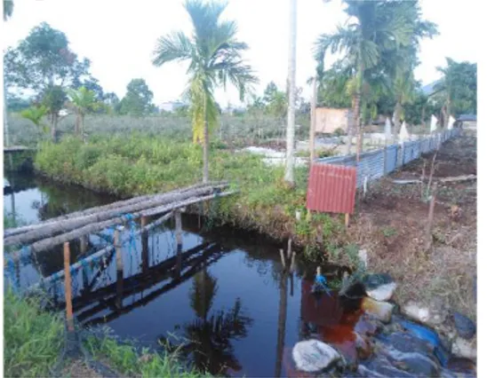Gambar 1. Kanal Gambut Daerah Rimbo  Panjang, Kampar, Riau. 