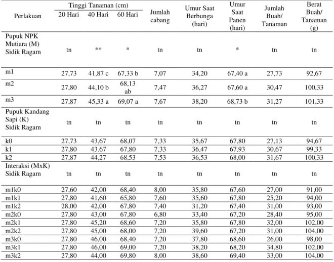 Tabel 2.  Rekapitulasi  Data  Penelitian  Pengaruh  Pemberian  Pupuk  NPK  Mutiara  (M)  dan  Pupuk  Kandang  Sapi  (K)  Serta    Interaksinya  (MxK)  Terhadap  Pertumbuhan  dan  Hasil  Tanaman  Cabai  Merah  Keriting (Capsicum annuum L.) 