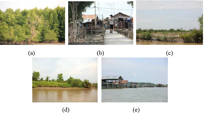 Gambar 7. Bentuk Tutupan Lahan Desa Jaring Halus (a) Hutan Mangrove Sekunder, (b) Permukiman, (c) Tambak, (d) Semak Belukar, (e) Tubuh Air 