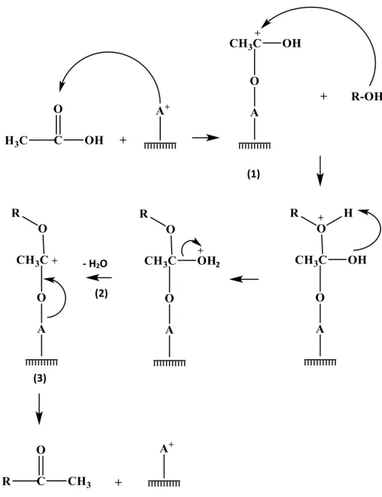 Gambar 2.9. Mekanisme reaksi esterifikasi dari asam karboksilat dengan alkohol                      (Kirumakki dkk., 2004)