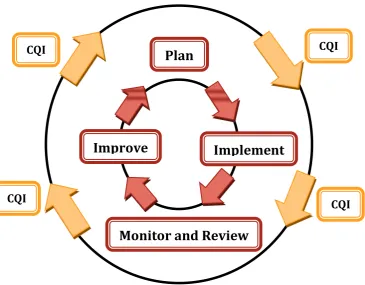 Figure 1 Continual Quality Improvement Cycle2 