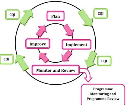 Figure 6 Programme Monitoring and Review in Continual Quality Improvement Cycle 