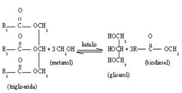Gambar 1. Reaksi transeterifikasi  