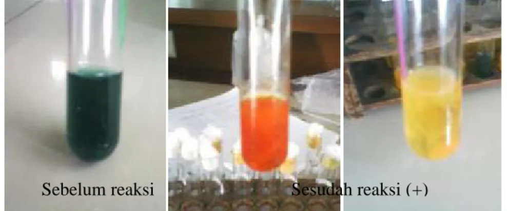 Gambar 6. Hasil Uji Fermentasi Gula Sebelum reaksi  Sesudah reaksi (+) 