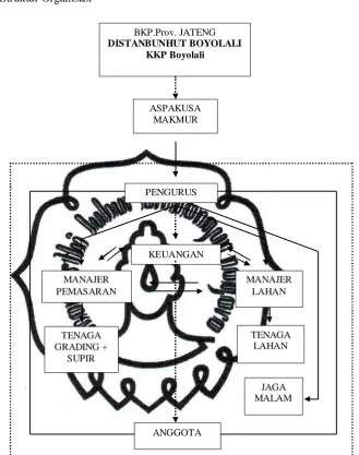 Gambar 1. Struktur Organisasi 