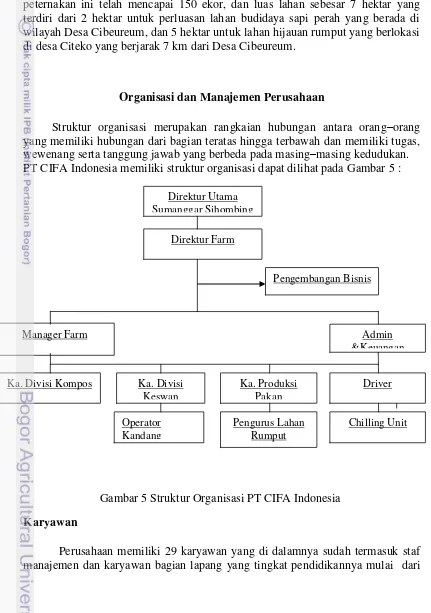 Gambar 5 Struktur Organisasi PT CIFA Indonesia  