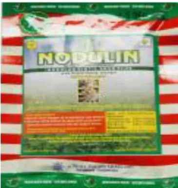 Gambar 2. Kemasan Nodulin 