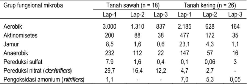 Tabel 2.  Populasi dan distribusi grup fungsional mikroba pada tanah sawah dan  tanah kering (x 10 4  g -1 ) 