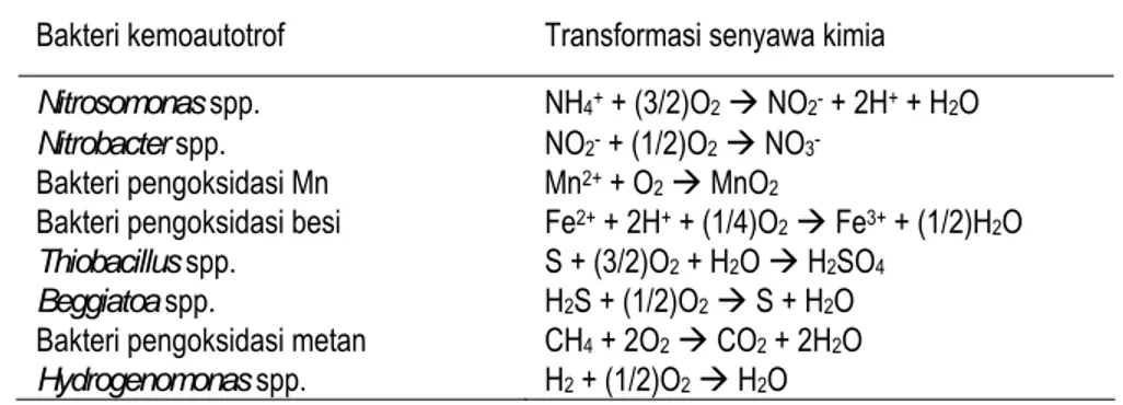 Tabel 3.  Peran bakteri kemoautotrof dalam transformasi berbagai senyawa  kimia 