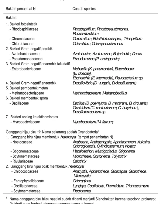 Tabel 5.   Berbagai jenis bakteri penambat N 2  yang hidup-bebas (non-simbiotik)  pada tanah sawah (Kyuma, 2004) 