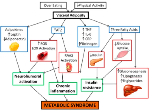 Gambar 2.4. Patofisiologi sindrom metabolik (Rochlani et al., 2017). 