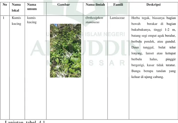 Tabel 4.1 jenis tumbuhan yang digunakan masyarakat dalam pengobatan tradisional   di  Kecamatan Tinggimoncong  Kabupaten Gowa