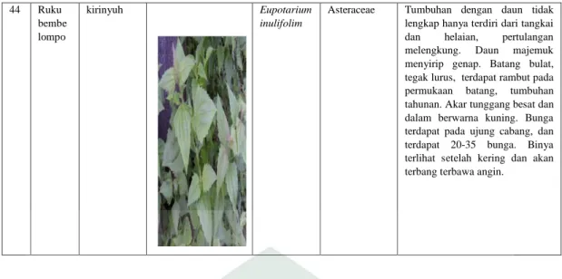 Gambar 4.1. Grafik jumlah tumbuhan berdasarkan familia.  