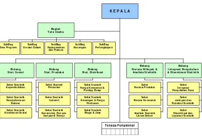 Gambar 3.1 Struktur Organisasi BPS  Provinsi 