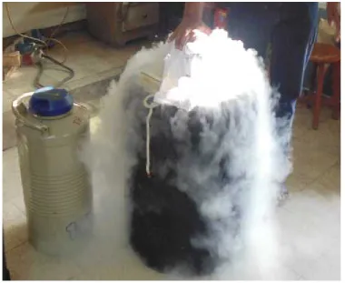 Gambar 2. ContainerCryogenic