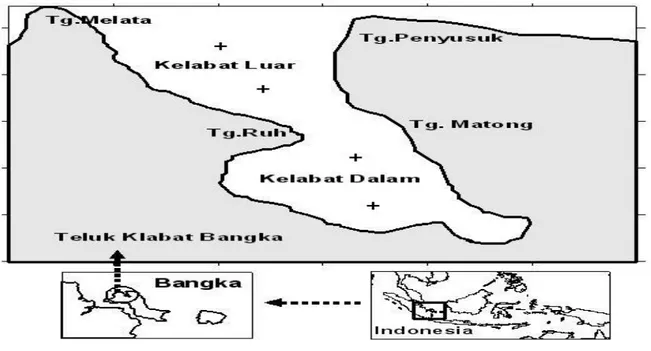 Gambar 1. Lokasi penelitian dan stasiun pengambilan sampel (+) di Teluk Klabat, Bangka 