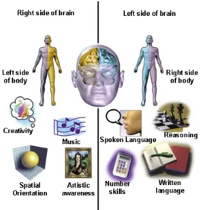 Gambar Ilustrasi Fungsi Otak Kanan & Otak Kiri