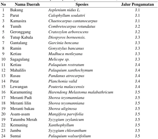 Tabel 1. Daftar tumbuhan yang ditemukan pada tiap jalur pengamatan   (List of plants found in each obserbvation transect) 