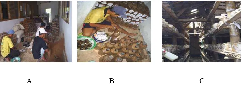 Gambar 3. Beberapa Fasilitas Produksi Jamur Tiram Putih di Komunitas P4S Nusa Indah, Tamansari