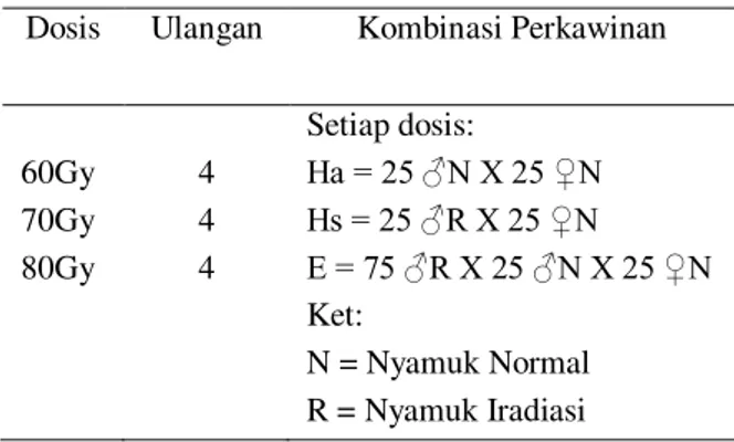 Tabel 1. Rancangan  penelitian  dan  kombinasi  perkawinan  untuk  mengetahui  daya  saing  kawin 