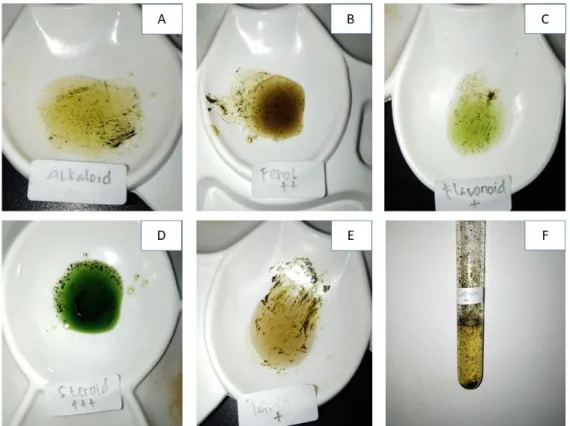 Gambar  1.  Hasil  Uji  Fitokimia  Ekstrak  Seledri.  Keterangan:  A:  Uji  Alkaloid,  B:  Uji  Fenol, C: Uji Flavonoid, D: Uji Steroid, E: Tanin, F: Saponin 