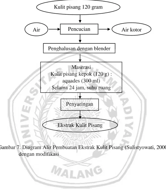 Gambar 7. Diagram Alir Pembuatan Ekstrak Kulit Pisang (Sulistyowati, 2000)   dengan modifikasi 