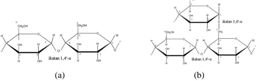 Gambar 1. (a)  Struktur Amilosa   (b) struktur amilopektin 