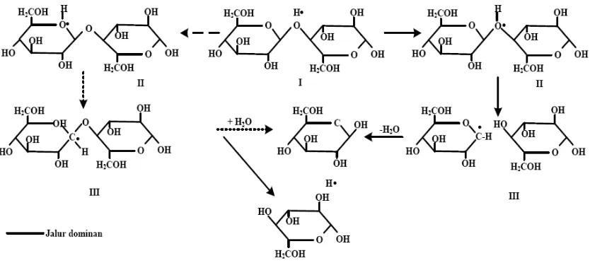 Gambar 2.4. Mekanisme hidrolisa selulosa 