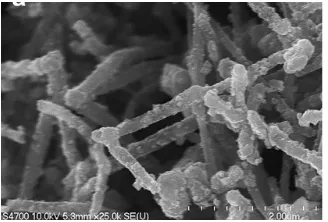 Gambar 2.1. Citra SEM dari sampel nanokomposit MnO2/CNT.