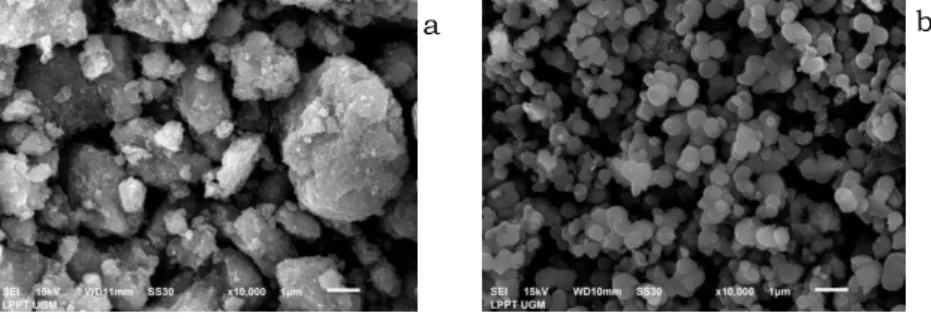 Gambar 5. Karakterisasi SEM (a) Fe3 O 4  (b) Fe 3 O 4 ―DMS.  KESIMPULAN 