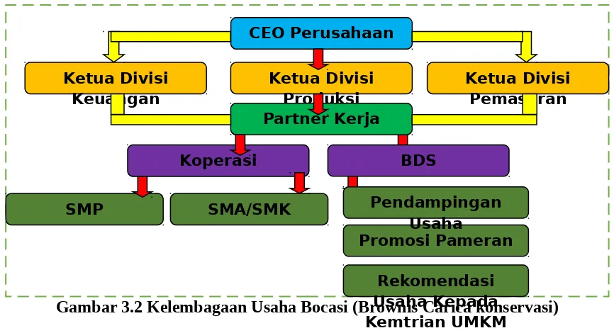 Gambar 3.2 Kelembagaan Usaha Bocasi (Brownis Carica konservasi)Usaha Kepada 