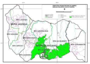 Gambar 2. Peta Penataan Batas Bekas Tanah Partikelir Ciampea Menjadi Kelompok  Hutan Ciampea (Sumber: Arsip Perum Perhutani, 1994)  