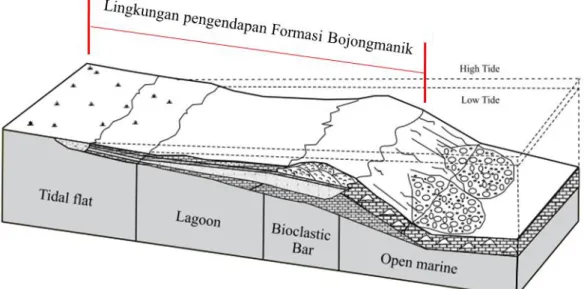 Gambar  10.  Model  pengendapan  laut  dangkal  dan  interpretasi  lingkungan  pengendapan  Formasi  Bojongmanik [17]