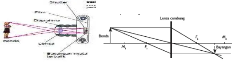 Gambar 2.12 Lup dan pembentukan bayangan pada lup 