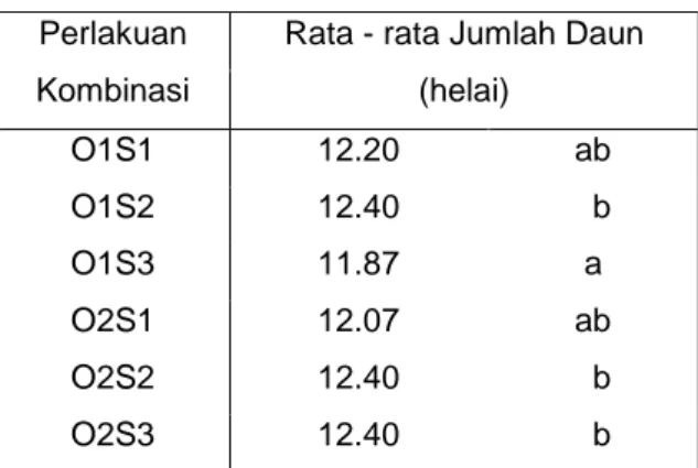 Tabel 2.  Rata-rata  Jumlah  Daun  (helai)  pengaruh  kombinasi  dosis  pupuk  Dasa  Biokompos dan  pupuk SP-36  pada umur 49 hari setelah tanam