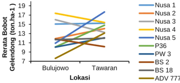 Gambar 7. Diagram Garis Rerata Bobot Gelendong (ton.ha -1 ) Setiap Genotipe Pada Dua Lokasi  